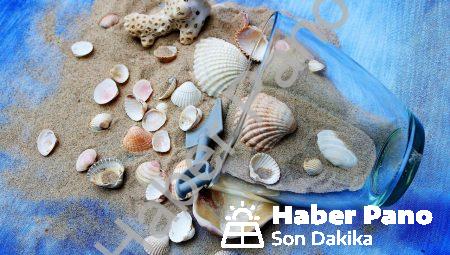Nörolojik Hiper Bağlantılar: Beyini Güçlendirin