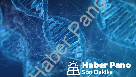 Karbon Nanotüpler: Güçlü ve Minik Teknolojinin Geleceği