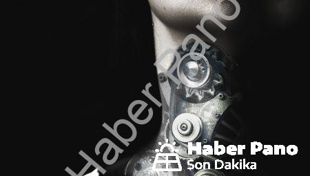 Biyonik Deri: Yeni Bir Doku Yaratmak Mümkün mü?