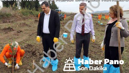 Dalaman’da Tarımsal Kalkınma Hamlesi: Cezaevinde Sakız Ağacı Bahçesi Kuruldu