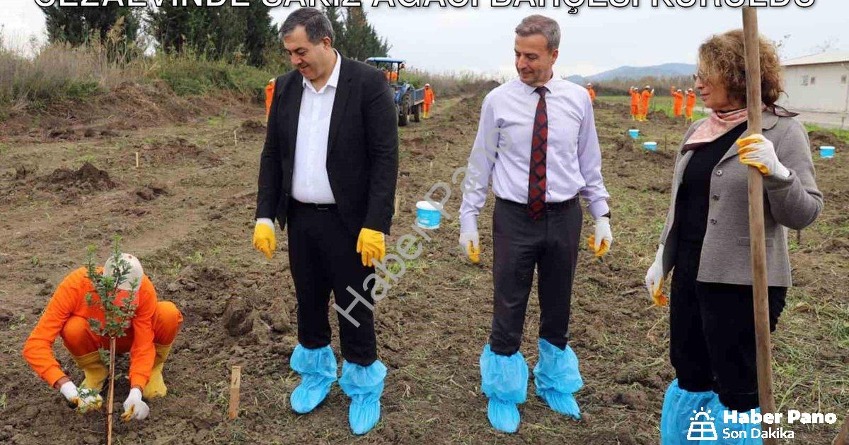 "Dalaman'da Tarımsal Kalkınma Hamlesi: Cezaevinde Sakız Ağacı Bahçesi Kuruldu" başlıklı haber için f