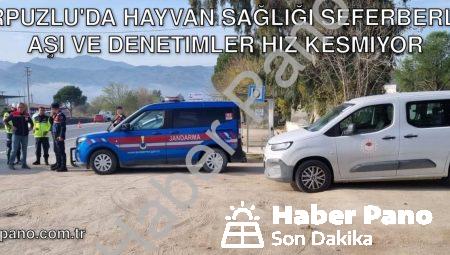Karpuzlu’da Hayvan Sağlığı Seferberliği: Aşı ve Denetimler Hız Kesmiyor