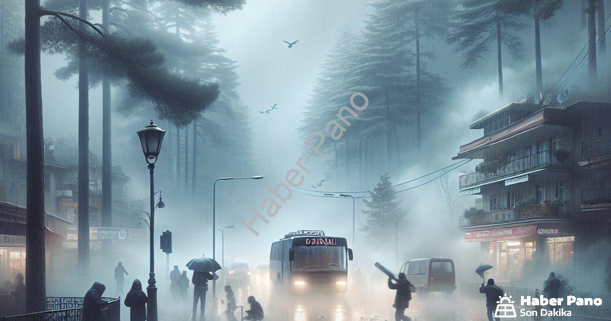 "Denizli'de Sağanak Sonrası Yoğun Sis: Görüş Mesafesi 10 Metreye Düştü" başlıklı haber için fotoreal
