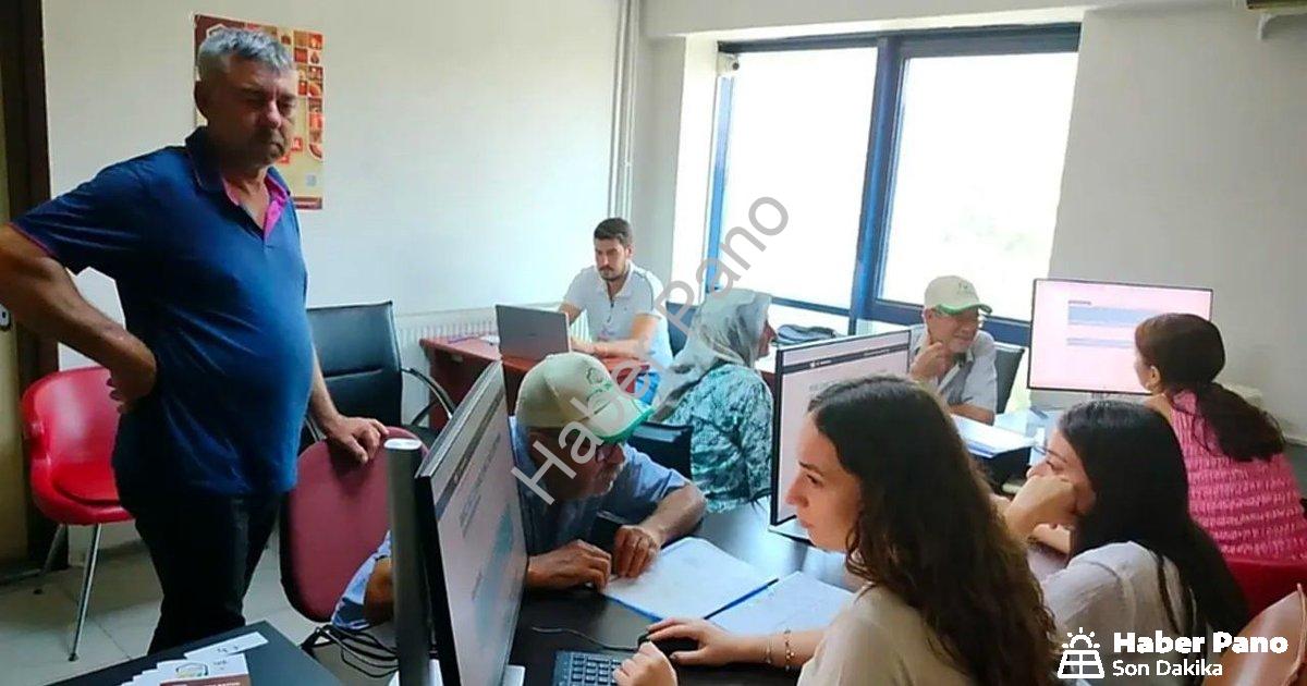 "Söke Ovası'nda Tarım Sayımı Sona Yaklaşıyor: Yüzde 90 Tamamlandı" başlıklı haber için fotorealistik