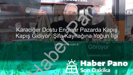 Karaciğer Dostu Enginar Pazarda Kapış Kapış Gidiyor: Şifa Kaynağına Yoğun İlgi