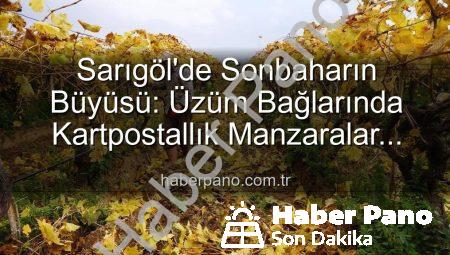 Sarıgöl’de Sonbaharın Büyüsü: Üzüm Bağlarında Kartpostallık Manzaralar Eşliğinde Budama Çalışmaları Başladı