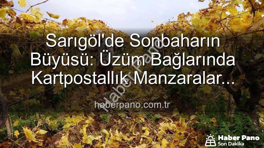 Sarıgöl budama - Sarıgöl'de Sonbaharın Büyüsü: Üzüm Bağlarında Kartpostallık Manzaralar Eşliğinde Budama Çalışmaları Başladı