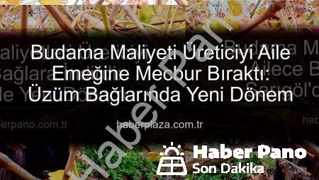 Budama Maliyetleri Üreticiyi Ailece Bağlara İndirdi: Sarıgöl’de Yeni Dönem