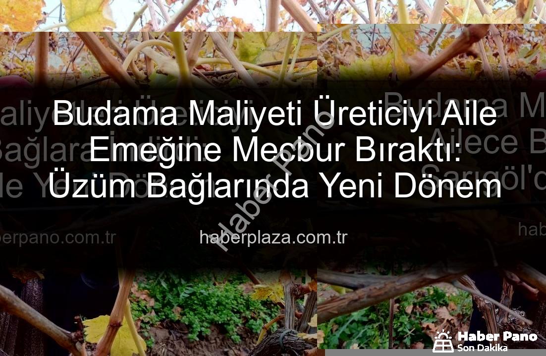 budama maliyeti - Budama Maliyetleri Üreticiyi Ailece Bağlara İndirdi: Sarıgöl'de Yeni Dönem