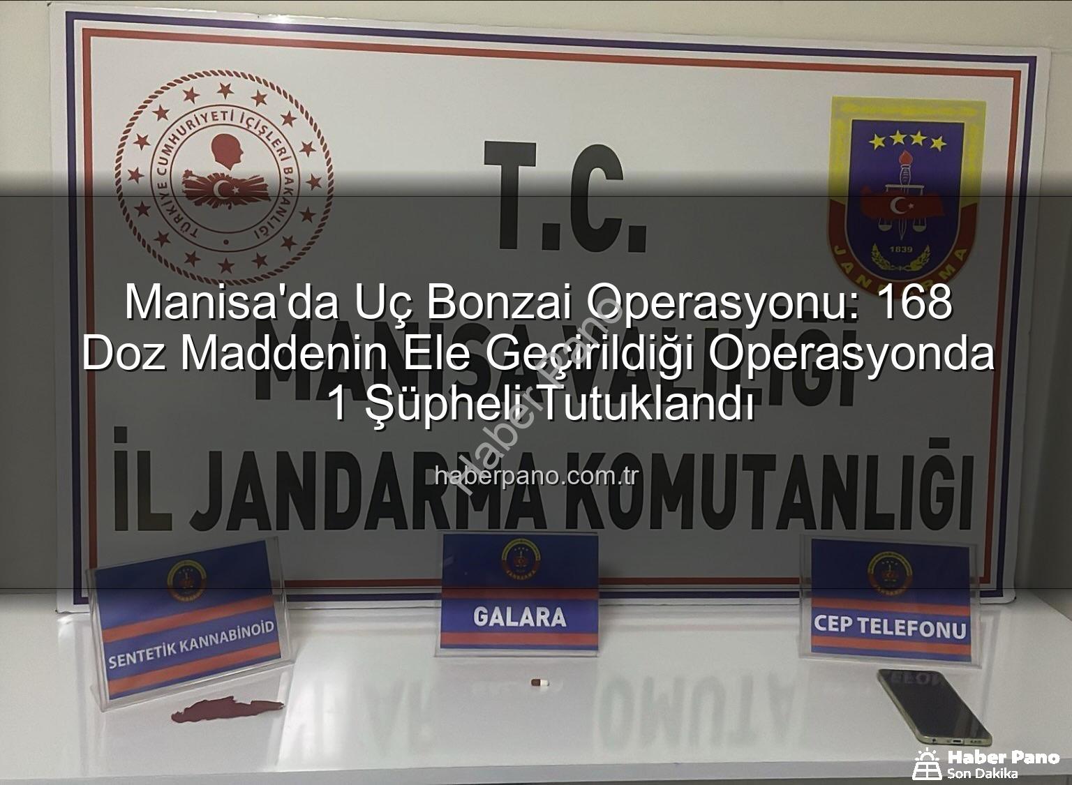Manisa'da Uç Bonzai Operasyonu: 168 Doz Maddenin Ele Geçirildiği Operasyonda 1 Şüpheli Tutuklandı