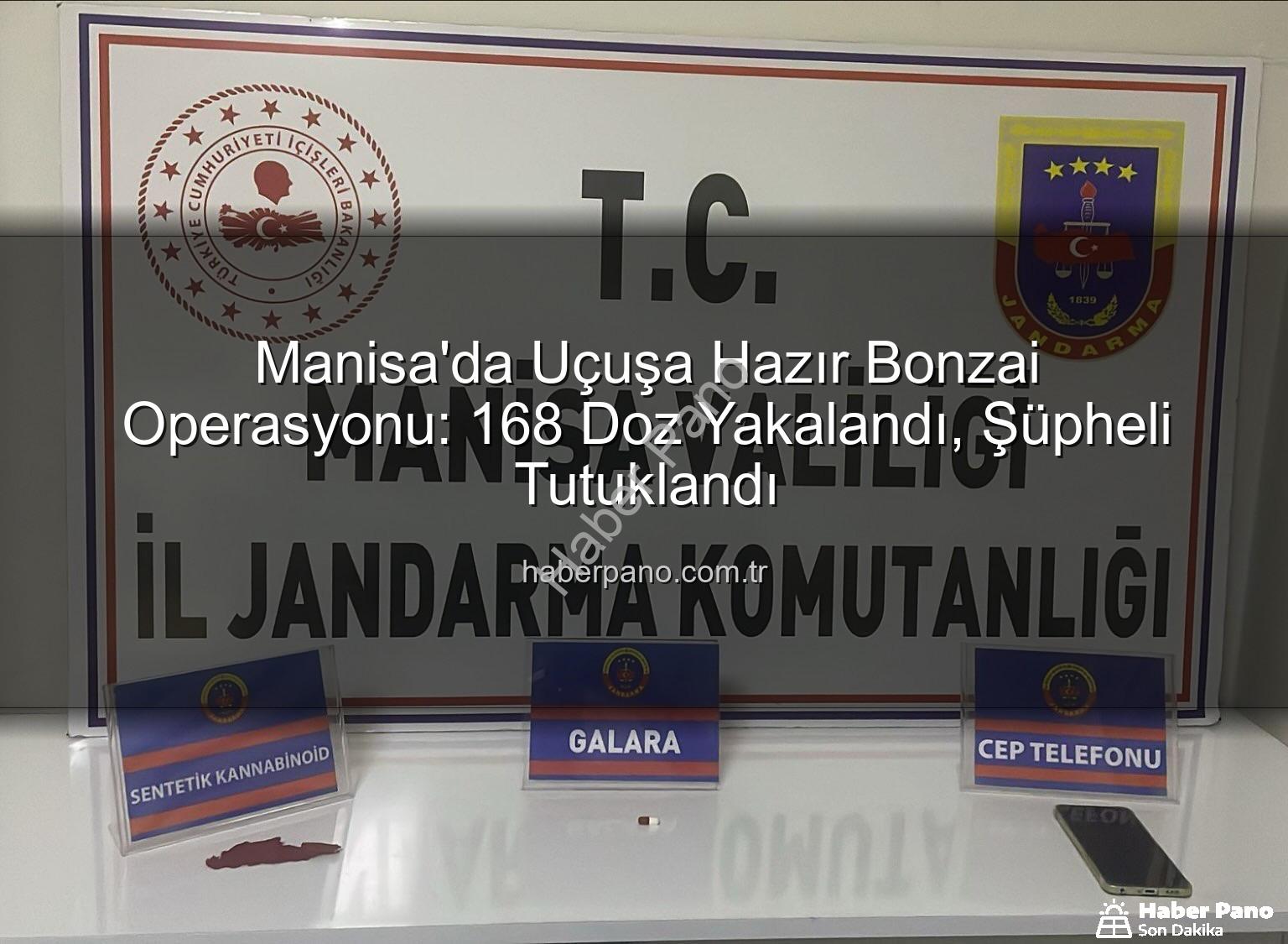 uç bonzai - Manisa'da Uçuşa Hazır Bonzai Operasyonu: 168 Doz Yakalandı, Şüpheli Tutuklandı