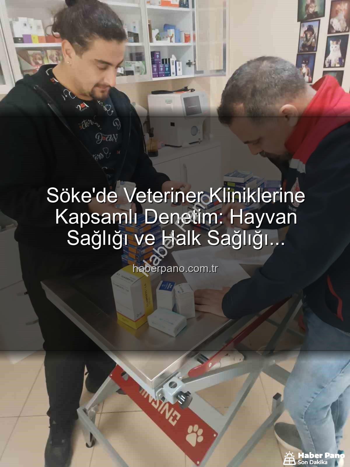 Söke veteriner klinik denetimi - Söke'de Veteriner Kliniklerine Kapsamlı Denetim: Hayvan Sağlığı ve Halk Sağlığı Önceliklendirildi