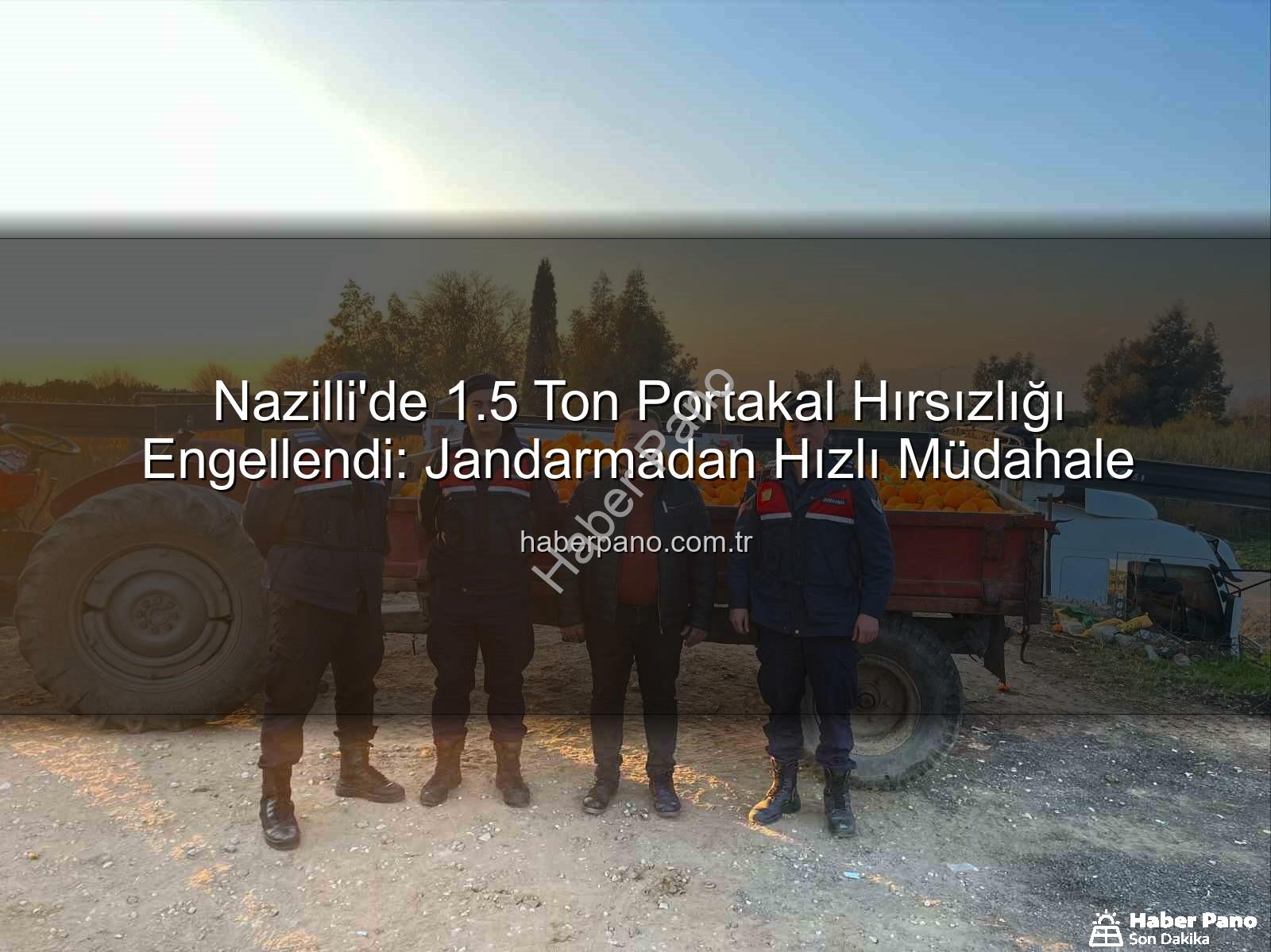 portakal hırsızlığı - Nazilli'de 1.5 Ton Portakal Hırsızlığı Engellendi: Jandarmadan Hızlı Müdahale