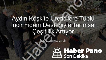 Aydın Köşk’te Üreticilere Tüplü İncir Fidanı Desteğiyle Tarımsal Çeşitlilik Artıyor