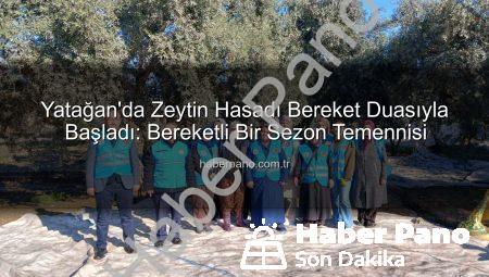 Yatağan’da Zeytin Hasadı Bereket Duasıyla Başladı: Bereketli Bir Sezon Temennisi