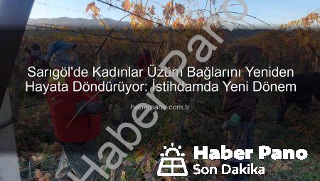 Sarıgöl’de Kadınlar Üzüm Bağlarını Yeniden Hayata Döndürüyor: İstihdamda Yeni Dönem