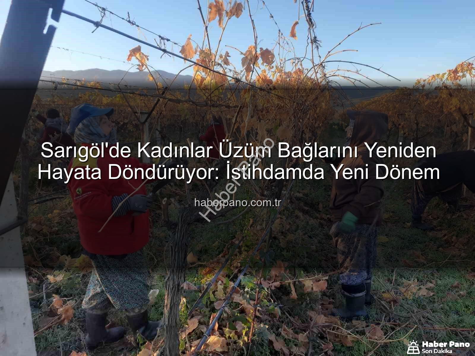 Sarıgöl'de Kadınlar Üzüm Bağlarını Yeniden Hayata Döndürüyor: İstihdamda Yeni Dönem