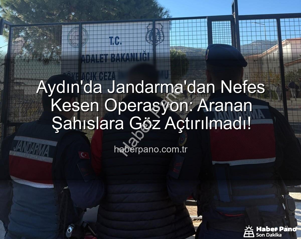 Aydın Jandarma - Aydın'da Jandarma'dan Nefes Kesen Operasyon: Aranan Şahıslara Göz Açtırılmadı!