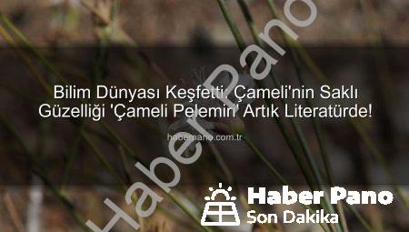Bilim Dünyası Keşfetti: Çameli’nin Saklı Güzelliği ‘Çameli Pelemiri’ Artık Literatürde!