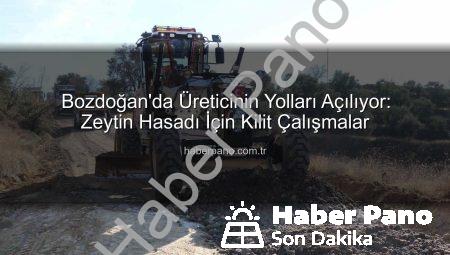 Bozdoğan’da Üreticinin Yolları Açılıyor: Zeytin Hasadı İçin Kilit Çalışmalar