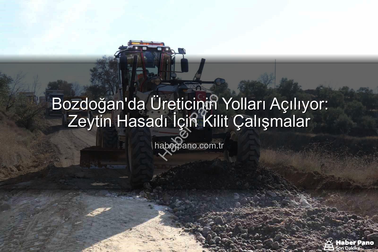 Bozdoğan yol çalışmaları - Bozdoğan'da Üreticinin Yolları Açılıyor: Zeytin Hasadı İçin Kilit Çalışmalar